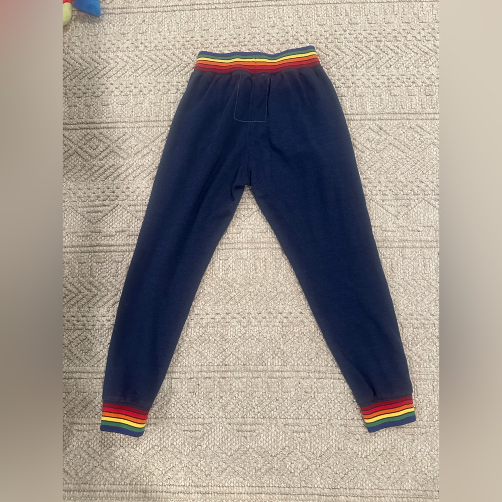 Rainbow sweats Aviator Nation